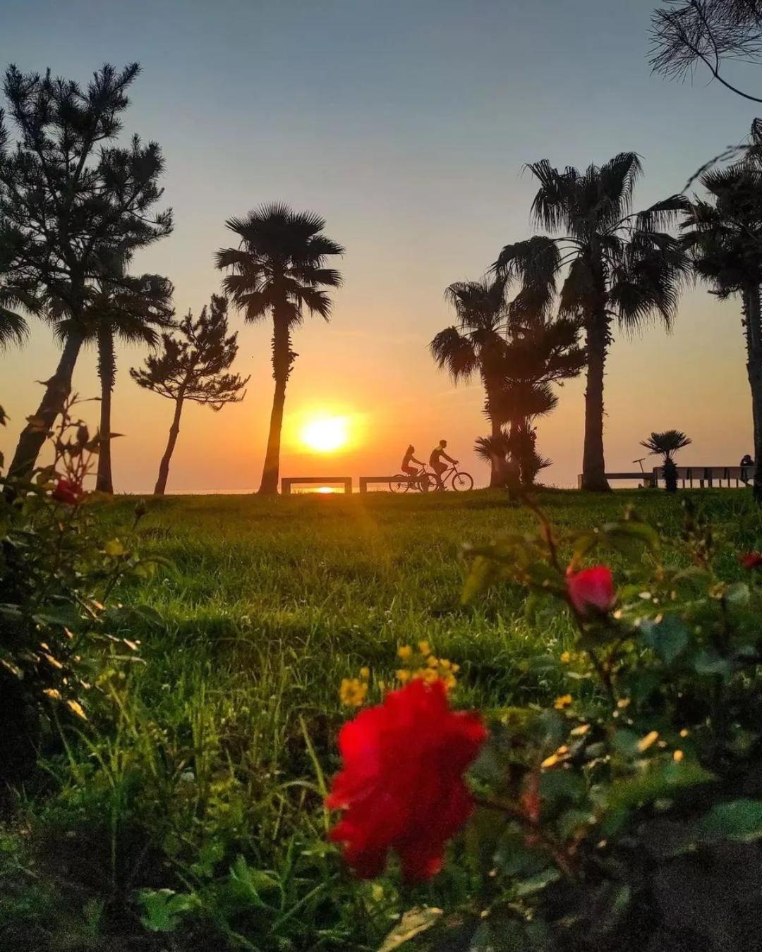 Elegance Sea View Aparthotel In Orbi City Μπατούμι Εξωτερικό φωτογραφία